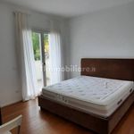 Rent 3 bedroom apartment of 117 m² in Treviso