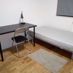 Rent 4 bedroom apartment in Coimbra