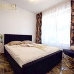 Wynajmij 2 sypialnię apartament z 33 m² w Bialystok