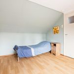 Rent 3 bedroom house of 100 m² in Schiedam