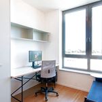 Rent 3 bedroom apartment of 83 m² in Berlin