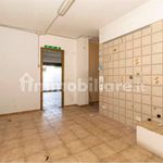 Affitto 5 camera appartamento di 110 m² in Orbassano