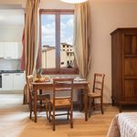 Rent 1 bedroom apartment of 34 m² in Florence