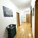 Rent 3 bedroom apartment of 125 m² in Praha