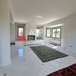 Rent 4 bedroom apartment of 240 m² in Μεζονέτα