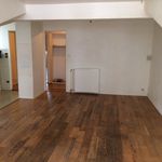Rent 4 bedroom apartment of 90 m² in Brassac-les-Mines