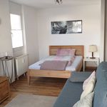 Miete 1 Schlafzimmer wohnung von 30 m² in Freiburg im Breisgau