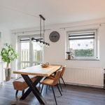 Rent 3 bedroom apartment of 61 m² in Delft