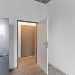 Rent 1 bedroom apartment of 44 m² in Prague