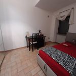 Affitto 2 camera appartamento di 65 m² in Viterbo
