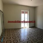 Rent 4 bedroom apartment of 115 m² in Velletri
