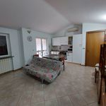 Affitto 2 camera appartamento di 60 m² in Basaluzzo