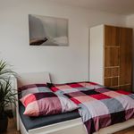 Rent 1 bedroom apartment of 30 m² in Gelsenkirchen