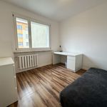 Wynajmij 3 sypialnię apartament z 65 m² w Chełm