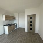 Rent 1 bedroom apartment of 23 m² in Ústí nad Labem