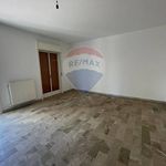 Rent 5 bedroom apartment of 100 m² in Caltagirone