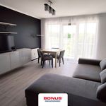 Rent 2 bedroom apartment of 48 m² in Poznan