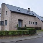 Huur 4 slaapkamer huis van 1000 m² in Overijse