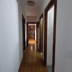 Rent 3 bedroom apartment of 80 m² in Jaén