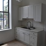 Rent 2 bedroom apartment of 700 m² in Chicago