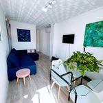 Alquilar 4 dormitorio apartamento en Alacant