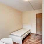 Rent a room of 57 m² in vilnius