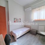 Rent 3 bedroom apartment of 55 m² in Catanzaro
