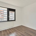 Rent 3 bedroom apartment in Rijswijk