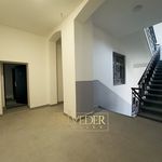 Rent 1 bedroom apartment of 60 m² in Teplice