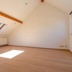Rent 1 bedroom apartment in Courcelles