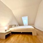 Rent 1 bedroom apartment of 37 m² in Rodez