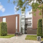 Rent 1 bedroom apartment of 55 m² in Eindhoven