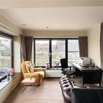 Rent 3 bedroom apartment in Halle