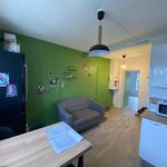 Appartement de 24 m² avec 1 chambre(s) en location à Angers