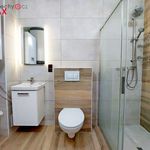 Rent 1 bedroom house of 102 m² in Kvasiny