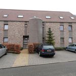 Rent 1 bedroom apartment in Hoeselt
