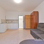 Rent 1 bedroom apartment of 29 m² in Brno