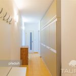 Pronajměte si 2 ložnic/e byt o rozloze 42 m² v Plzeň
