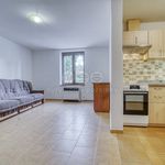 Pronajměte si 1 ložnic/e byt o rozloze 31 m² v Kožlany