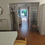 Studio of 55 m² in Florence