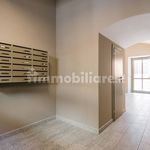 Rent 1 bedroom apartment of 37 m² in Torino
