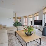 Rent 4 bedroom house of 238 m² in 's-Hertogenbosch
