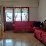 Rent 1 bedroom apartment of 42 m² in Cartagena