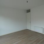 Rent 4 bedroom apartment of 125 m² in EINDHOVEN