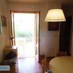 Affitto 3 camera appartamento di 55 m² in Cetraro