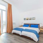 Rent 1 bedroom apartment of 52 m² in Torino