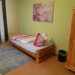 Miete 1 Schlafzimmer wohnung von 17 m² in Braunschweig