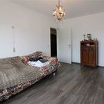 Rent 2 bedroom apartment of 123 m² in Scherpenheuvel-Zichem