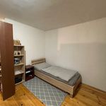 Rent 3 bedroom house in Praha