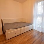Rent 3 bedroom apartment of 52 m² in Kielce